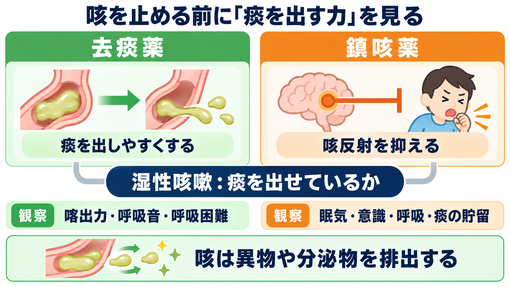 呼吸器で使われる薬剤を整理する：作用・使い分け・看護観察の実践ガイド：去痰薬と鎮咳薬：咳を止める前に「痰を出す力」を考えるの図解