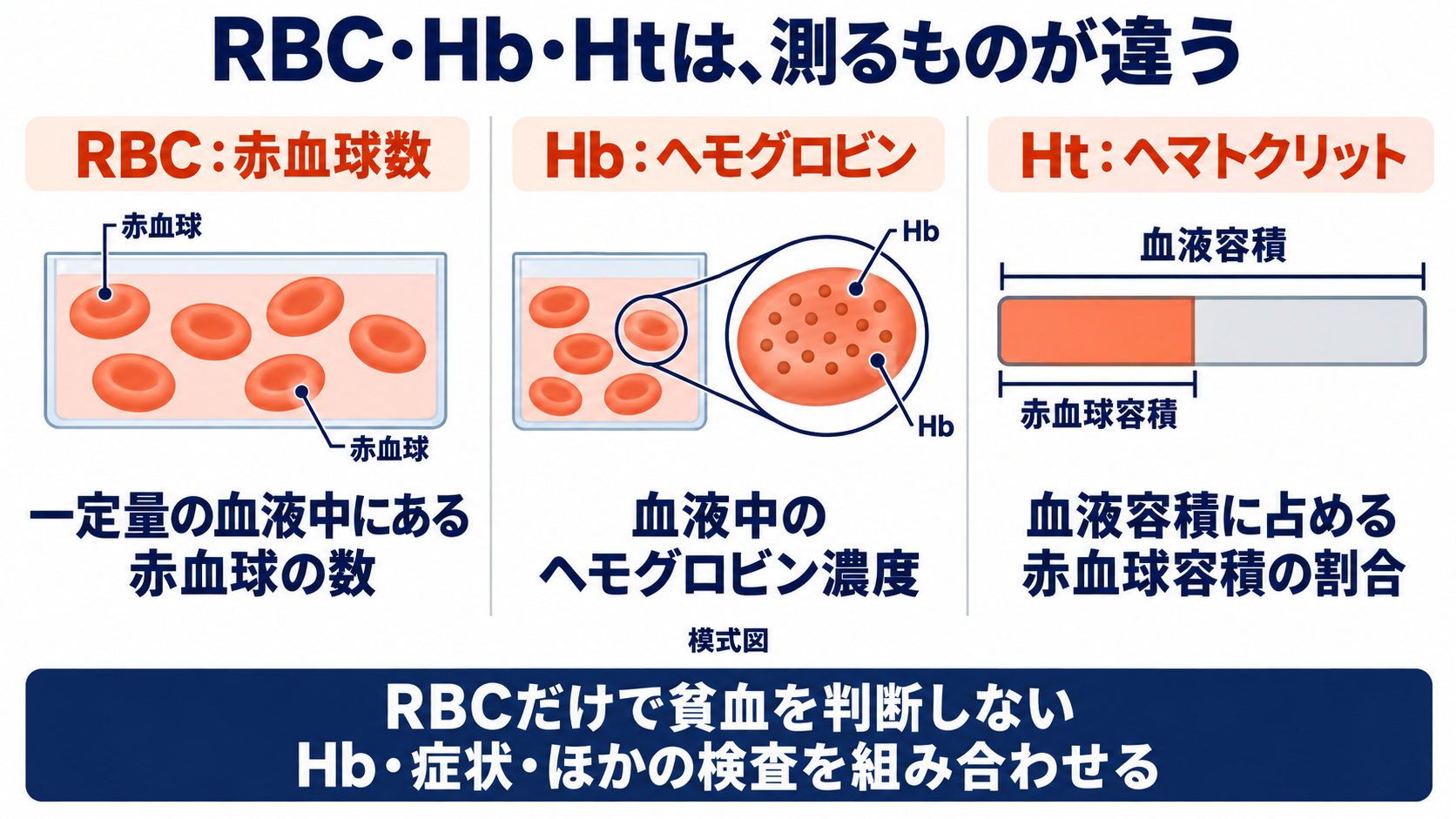 血球算定の項目一覧で理解する、基準範囲と看護での読み方：RBC・Hb・Htは、数・濃度・容積割合の違いから読むの図解