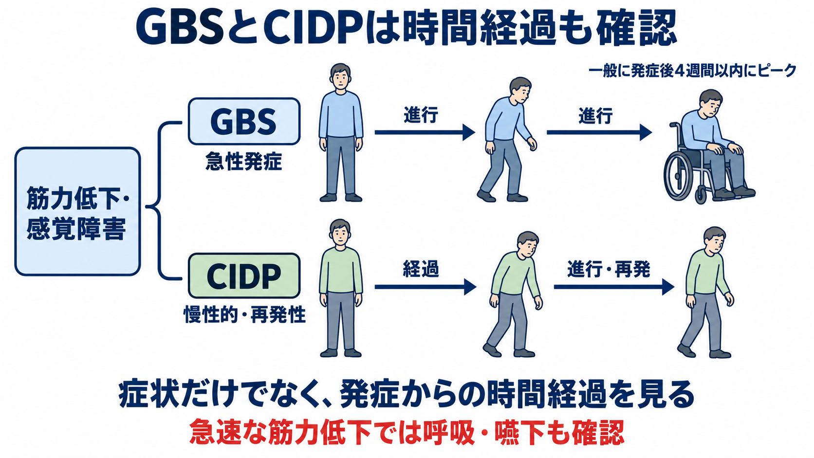 ニューロパチーとは？原因・症状・検査から看護観察と緊急性まで分かりやすく解説：急速な筋力低下ではGBS、慢性的な進行・再発ではCIDPも考えるの図解