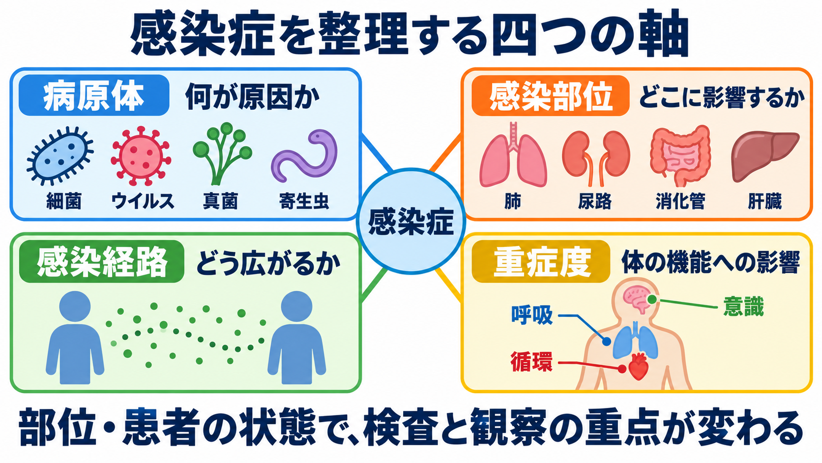 主な感染症の一覧から、検査の目的と看護観察の要点を学ぶ：感染症は、病原体・感染部位・感染経路・重症度の四つで整理するの図解