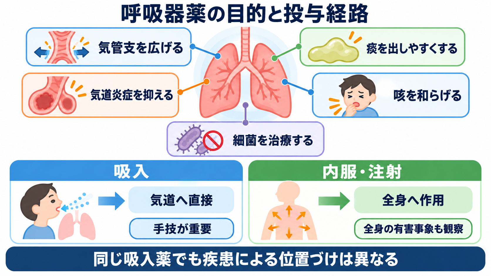 呼吸器で使われる薬剤を整理する：作用・使い分け・看護観察の実践ガイド：主要薬の全体像：病態と投与経路を結びつけるの図解