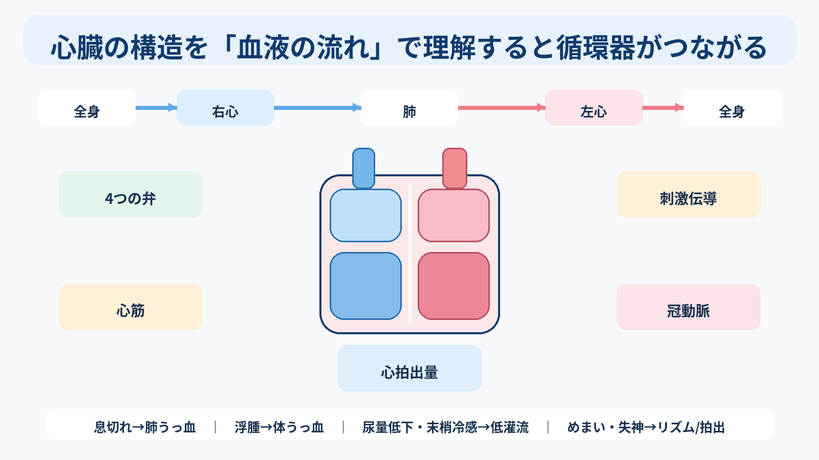心臓の構造と機能を基礎から理解する｜4つの部屋・弁・血流・刺激伝導・心拍出量と看護観察：心臓の構造を「血液の流れ」で理解すると循環器がつながるの図解