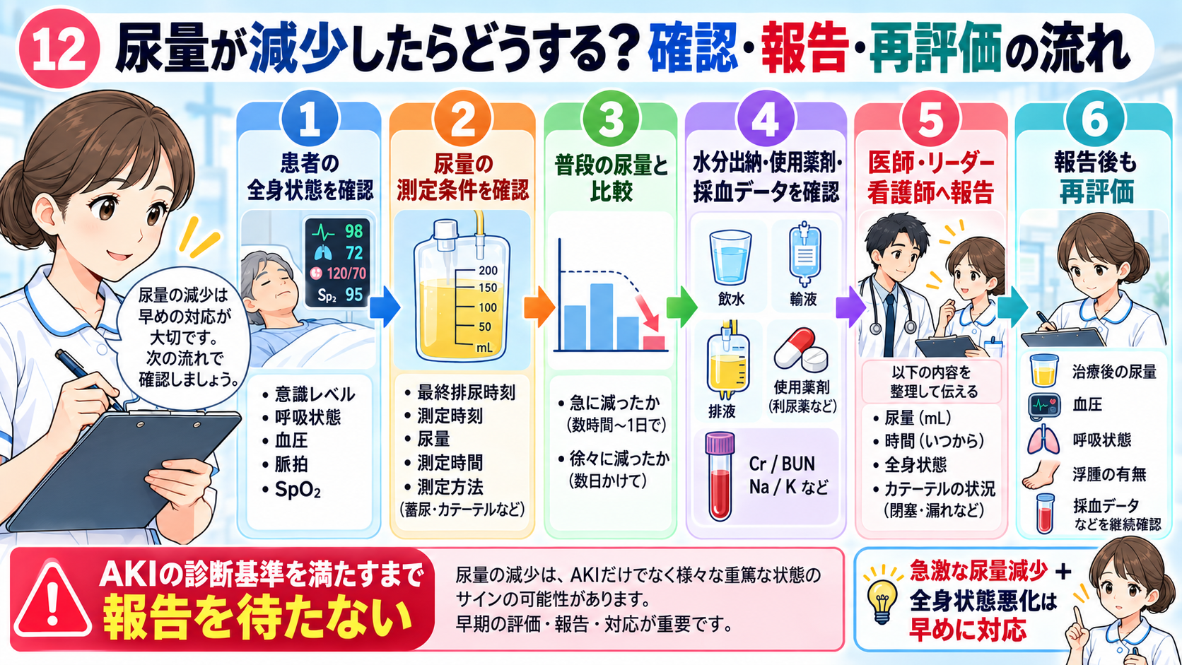 尿量の見かた｜なぜ確認する？正常の目安・尿量が減る原因・看護観察のポイント：尿量が減少したらどうする？確認・報告・再評価の流れの図解
