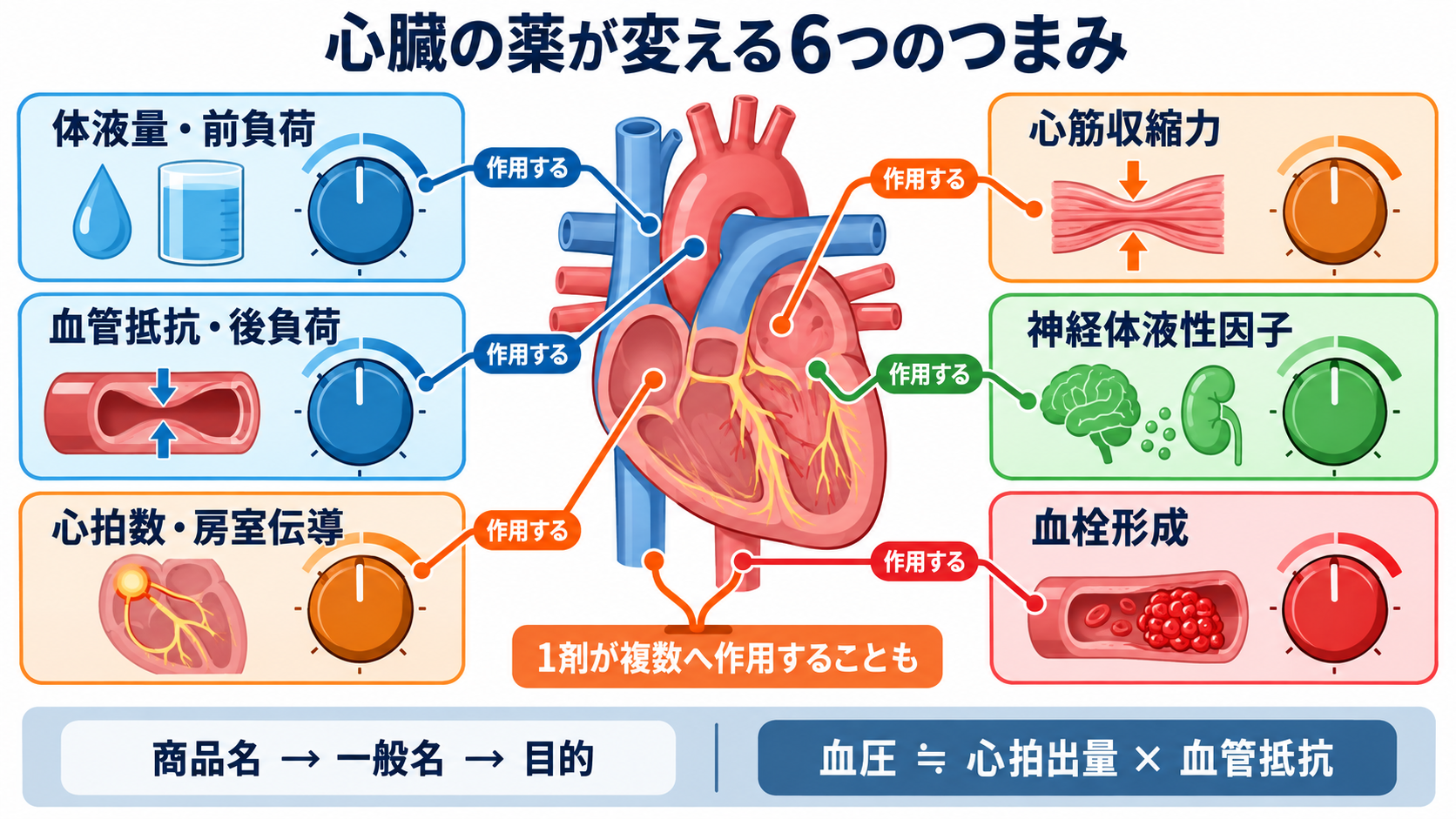 心臓の薬は何を変える？商品名からつなぐ作用と看護観察：心臓の薬は、六つの「つまみ」を変えているの図解