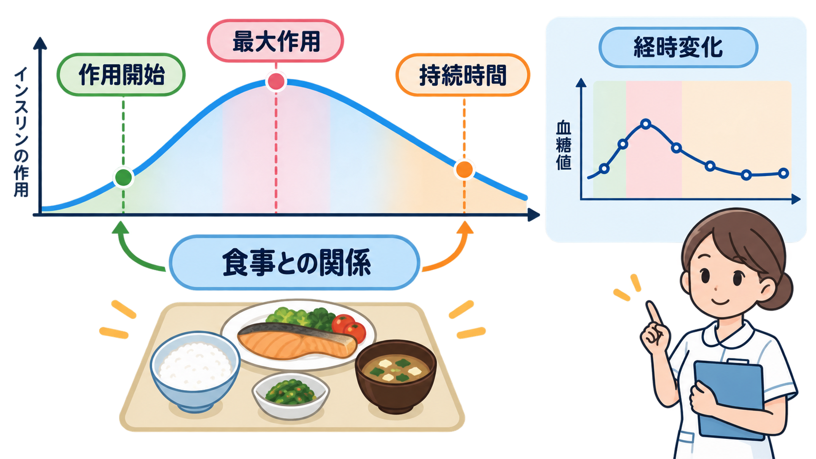 インスリン製剤一覧｜作用時間・投与タイミング・使い分けを基礎から解説：インスリン製剤一覧では、作用時間と食事との関係をセットで確認するの図解