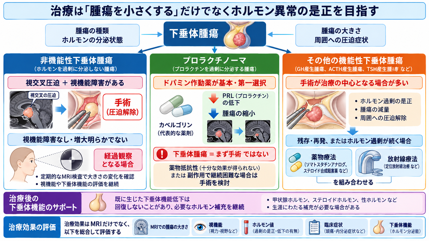 脳下垂体腫瘍とは？症状・ホルモン異常・治療と術後看護の観察ポイント：治療は「腫瘍を小さくする」だけでなくホルモン異常の是正を目指すの図解