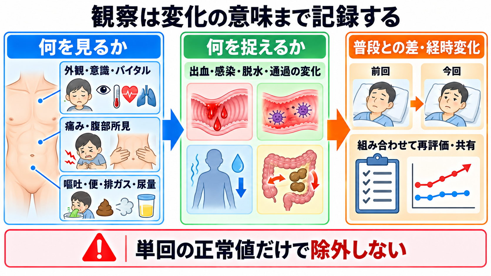消化器の解剖を流れで理解する｜臓器・腹膜・血流と看護観察の意味：看護観察は「何を見るか」より「変化が何を意味するか」まで記録するの図解