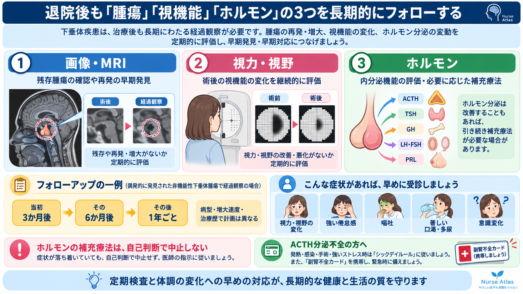 脳下垂体腫瘍とは？症状・ホルモン異常・治療と術後看護の観察ポイント：退院後も「腫瘍」「視機能」「ホルモン」の3つを長期的にフォローするの図解