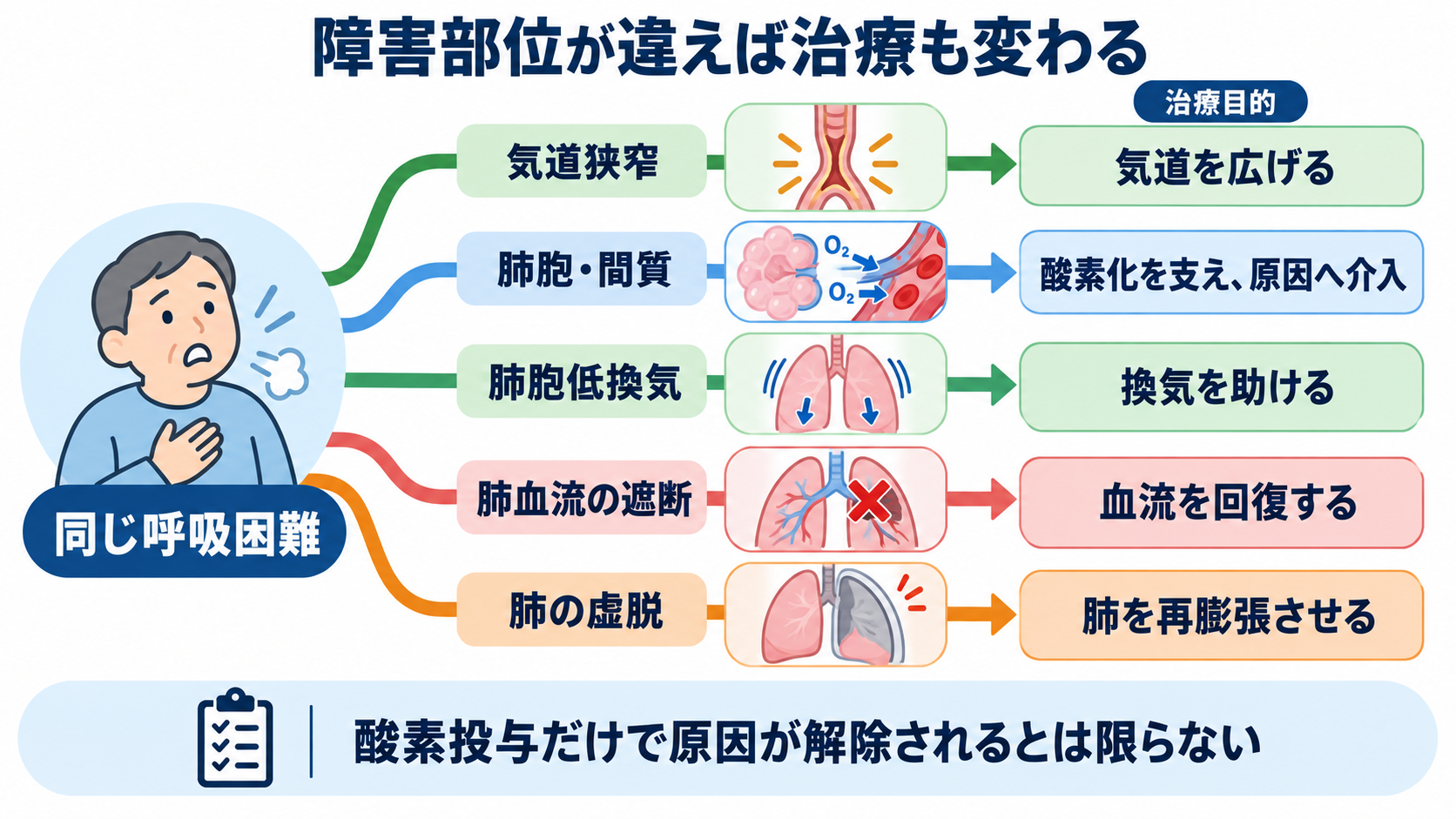 呼吸器疾患の治療を検査データから理解する―酸素化・換気・原因治療と看護観察：同じ呼吸困難でも、障害部位が違えば治療も変わるの図解