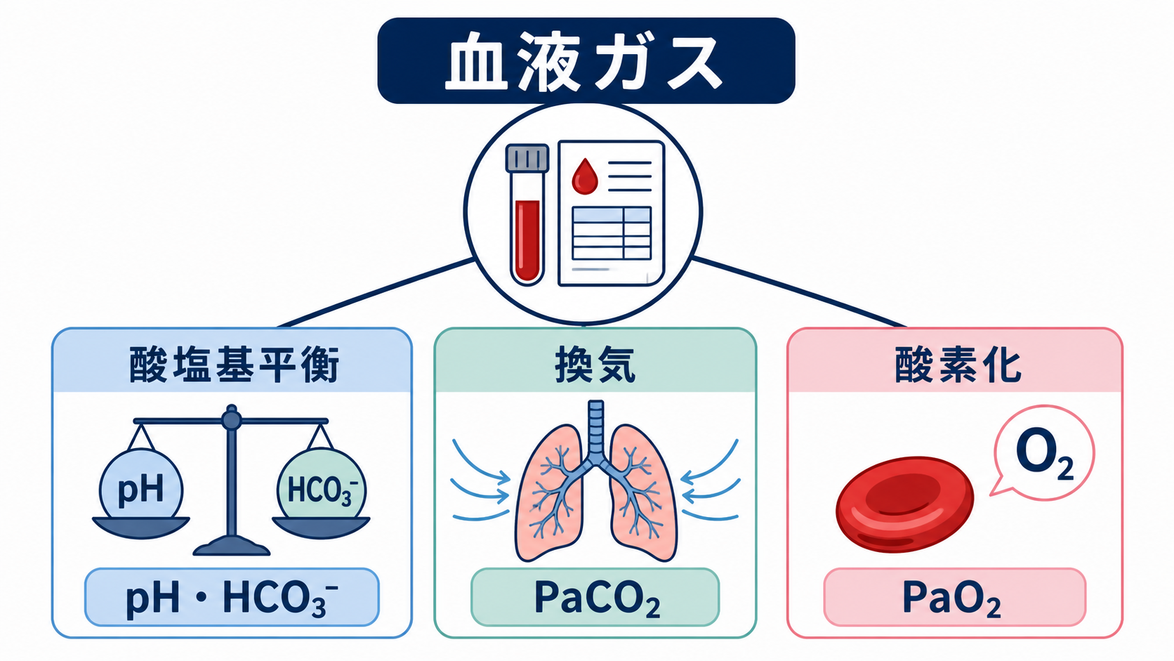 血液ガスの読み方｜pH・換気・酸素化を3ステップで看護判断へつなげる：血液ガスは「酸塩基・換気・酸素化」を同時に見る検査の図解