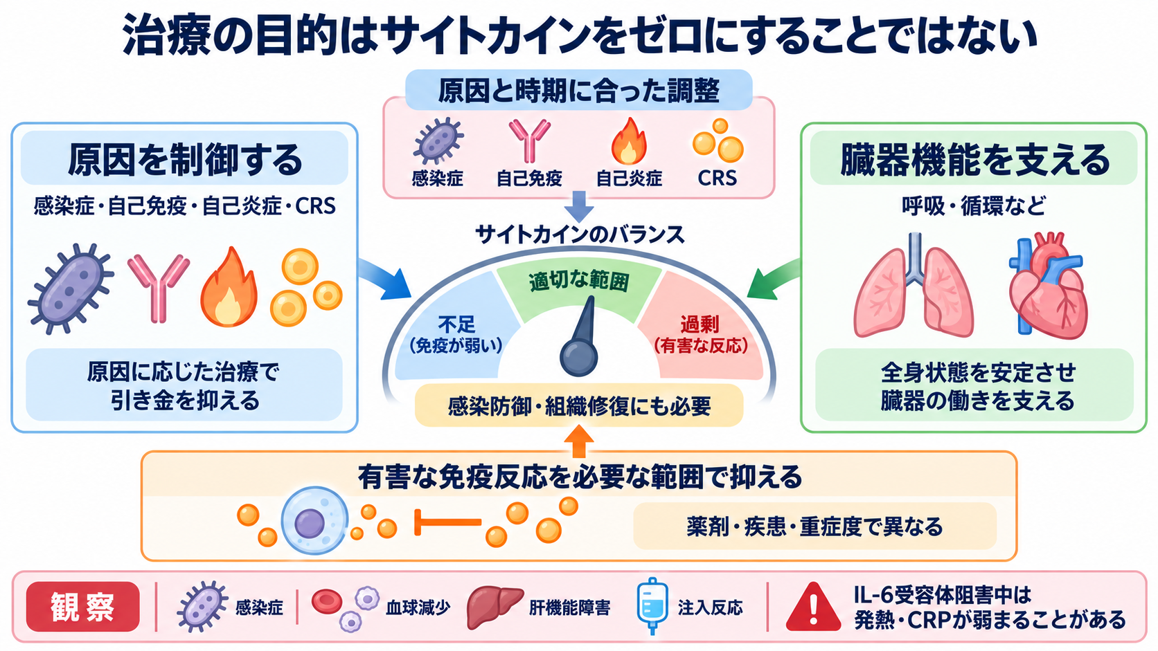 サイトカインとは何か――免疫・炎症の仕組みから検査、治療、看護観察まで：治療の目的は「サイトカインをゼロにすること」ではないの図解
