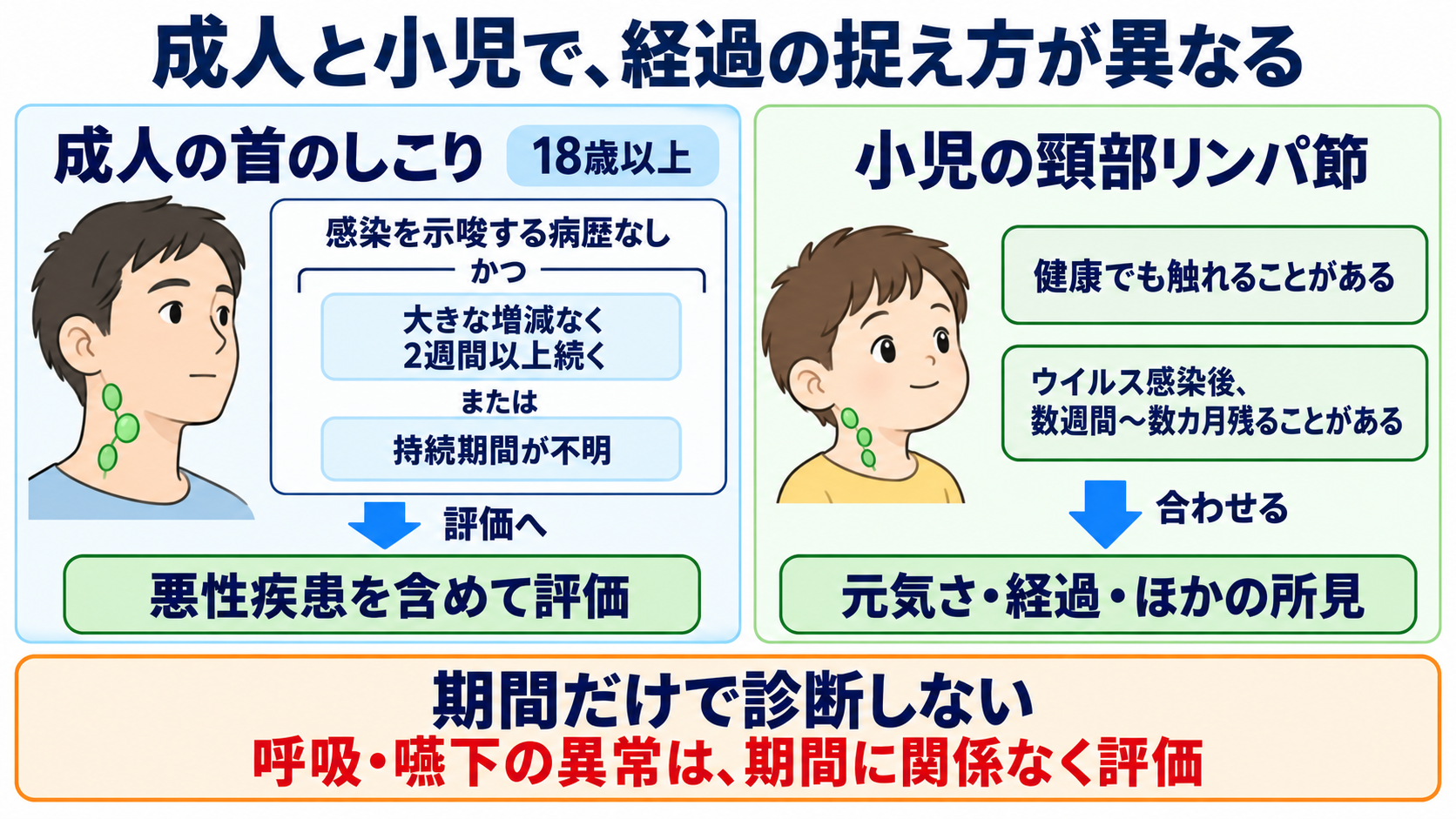 リンパ節の働きと腫れの見方を、看護の観察につなげる：成人と小児では、腫れが続く期間の捉え方が異なるの図解
