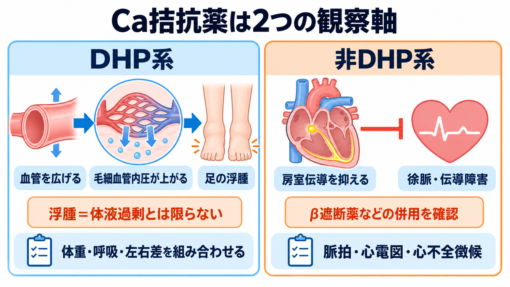 降圧剤の種類と観察ポイント｜作用・副作用・服薬指導を新人看護師向けに整理：Ca拮抗薬では血管拡張症状と浮腫、非DHP系では徐脈を見分けるの図解