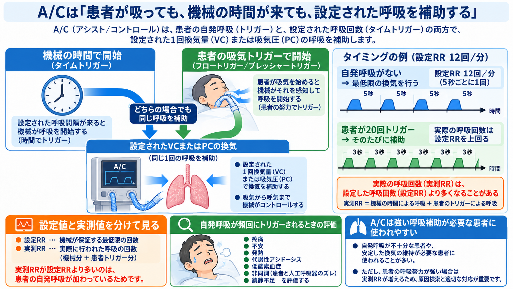 人工呼吸器のモードを理解する｜A/C・SIMV・PSV・CPAPの使い分け、設定、観察項目とアラーム対応：A/Cは「患者が吸っても、機械の時間が来ても、設定された呼吸を補助する」の図解