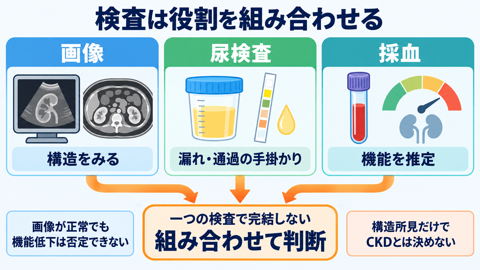 腎臓の解剖を血流と尿の通り道から理解する―ネフロンの構造と看護観察の意味：画像は構造、尿は漏れや通過、採血は機能を主に評価するの図解