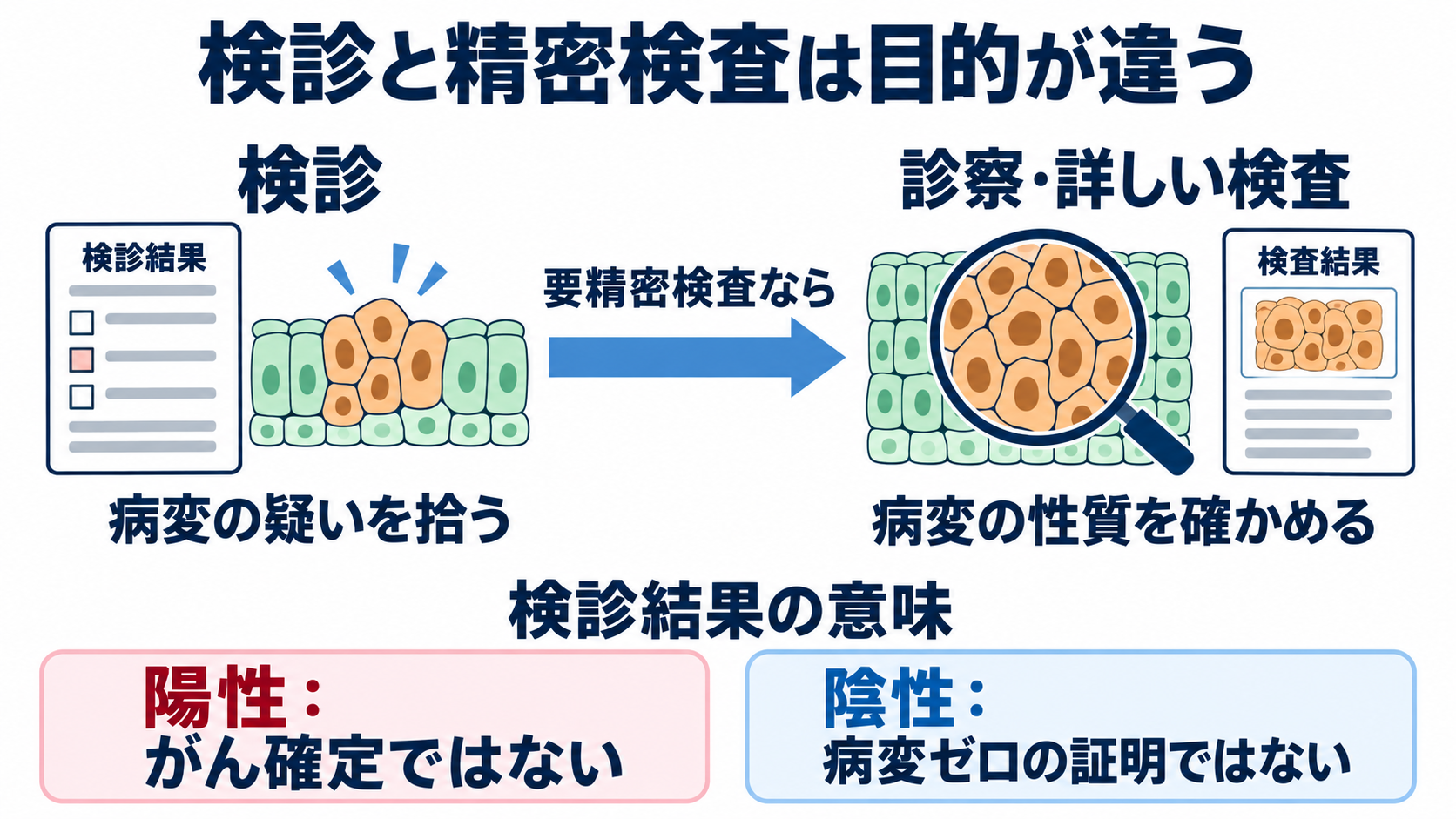 前がん病変とは？自分で気付くことの限界と、検査・看護のポイント：検診は疑いを拾い、精密検査で病変の性質を確かめるの図解