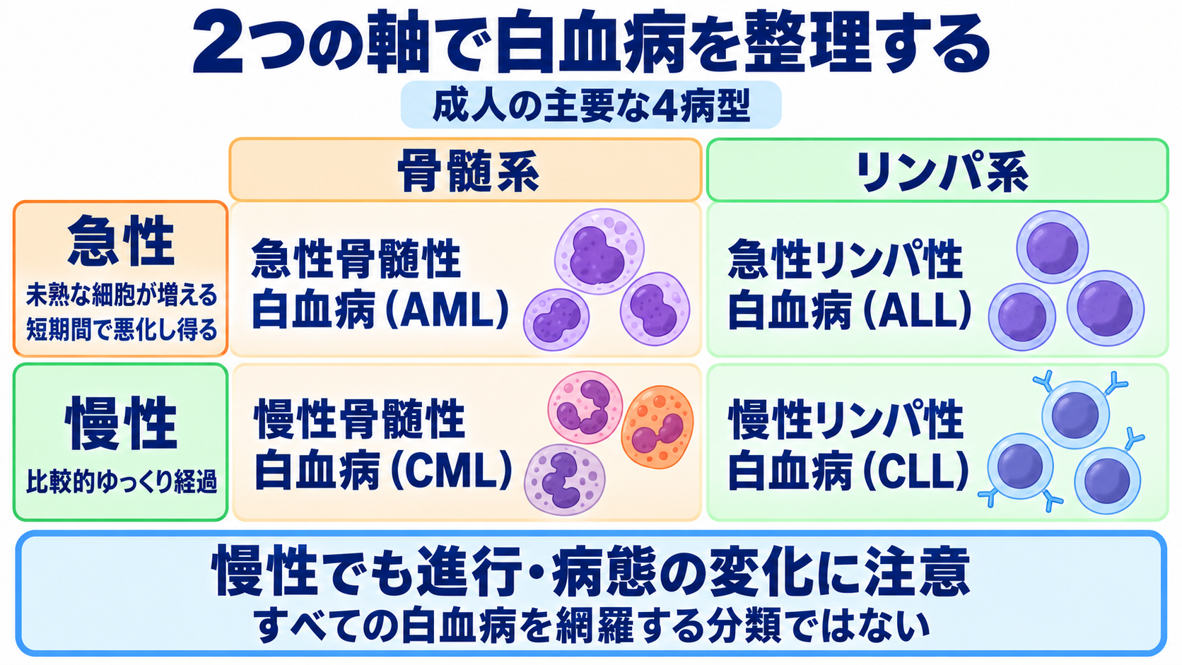 成人の白血病を、病態・検査・治療と看護観察のつながりから理解する：急性・慢性と、骨髄性・リンパ性では何が違うかの図解