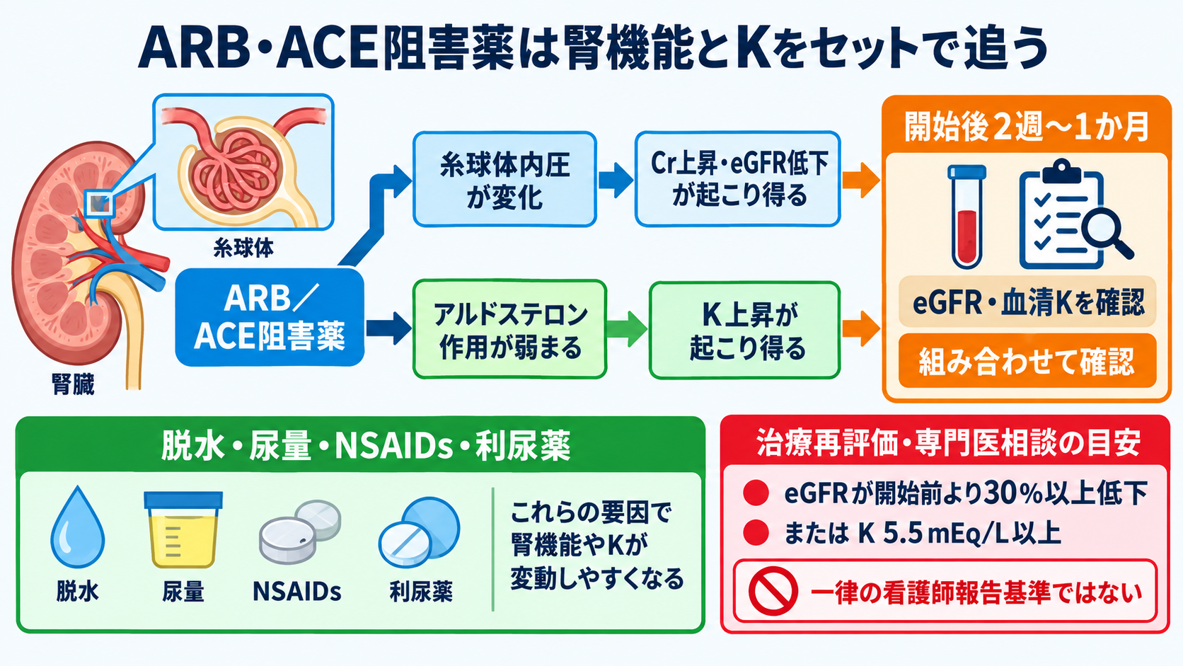降圧薬は結局どれを選ぶ？商品名から薬効群・使い分け・看護観察を読み解く：ARB・ACE阻害薬では「腎機能とKの変化」をセットで追うの図解