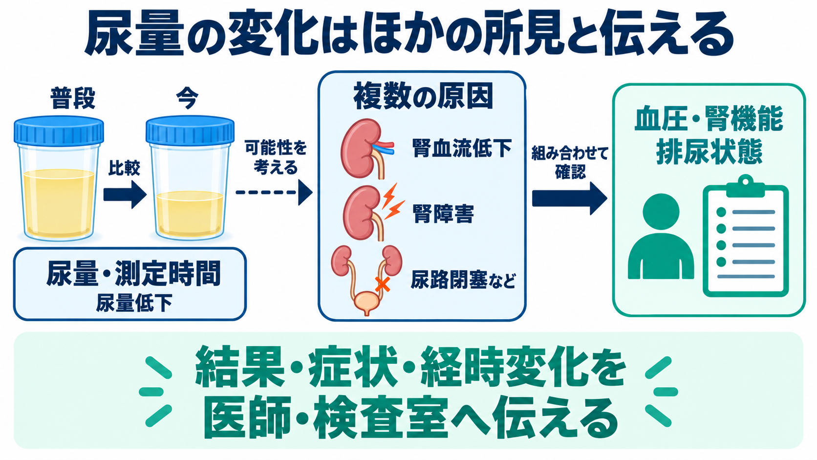 尿沈渣の主な成分一覧と、看護に役立つ所見の読み方：看護では「普段との違い」と「一緒に変わった所見」を伝えるの図解