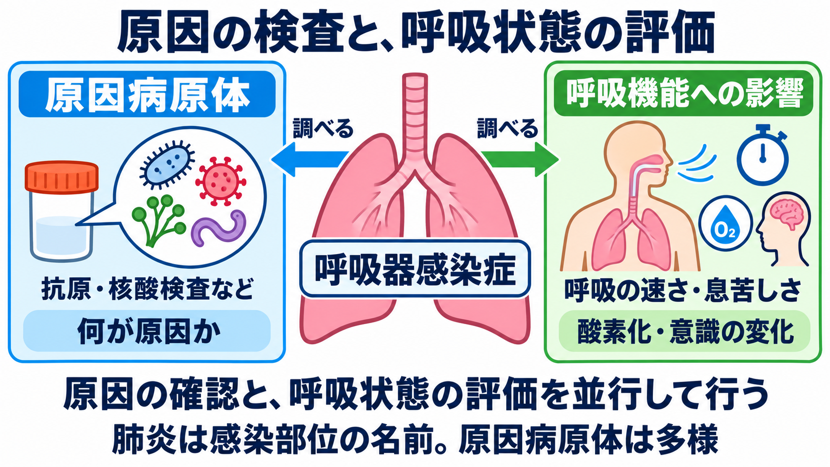 主な感染症の一覧から、検査の目的と看護観察の要点を学ぶ：呼吸器感染症では、原因を調べる検査と呼吸状態の評価を分けるの図解