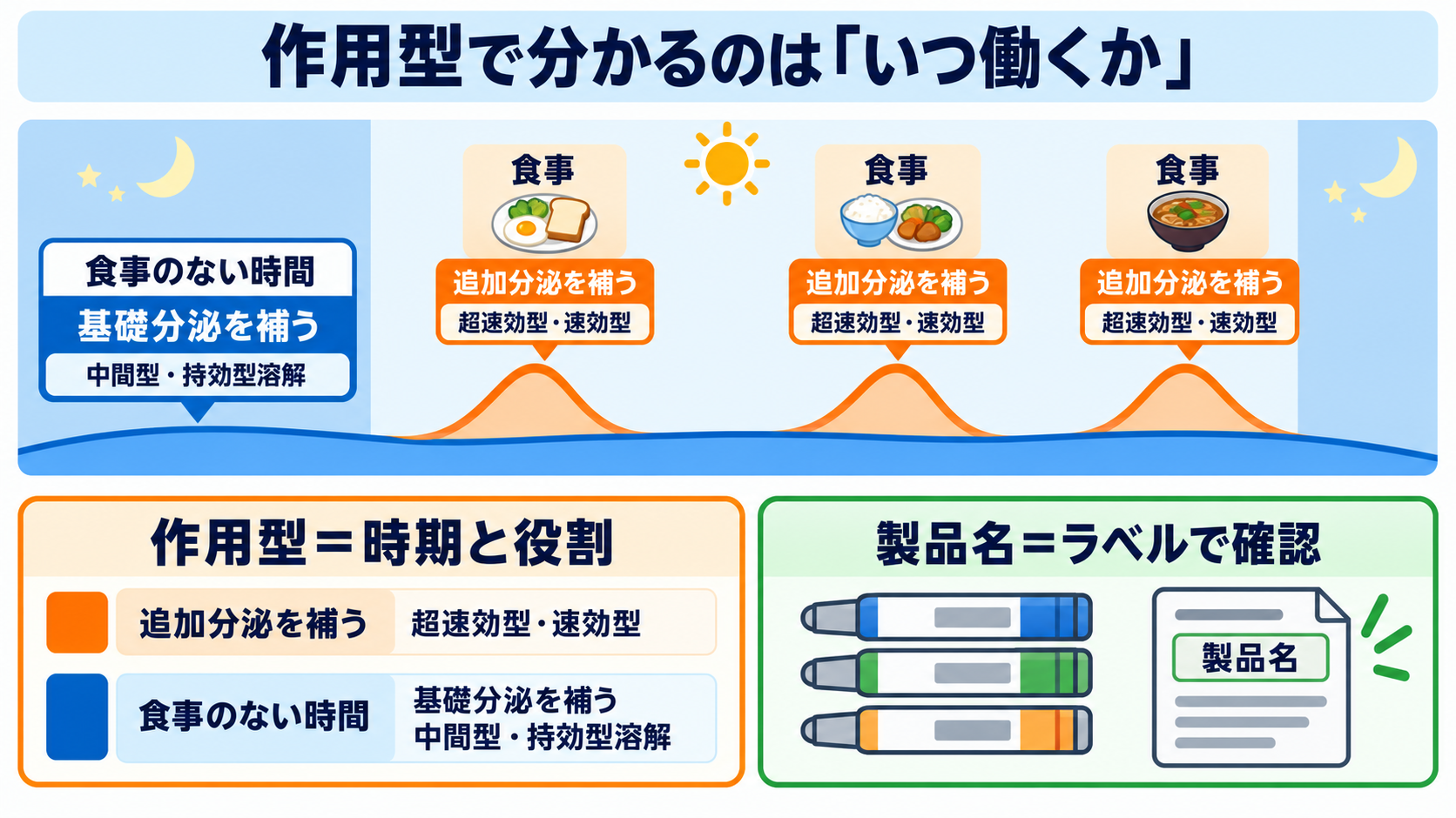 インスリンの見分け方｜色に頼らず作用型・製品名・濃度を確認するポイント：作用型で分かるのは「いつ働く薬か」であり、製品名そのものではないの図解