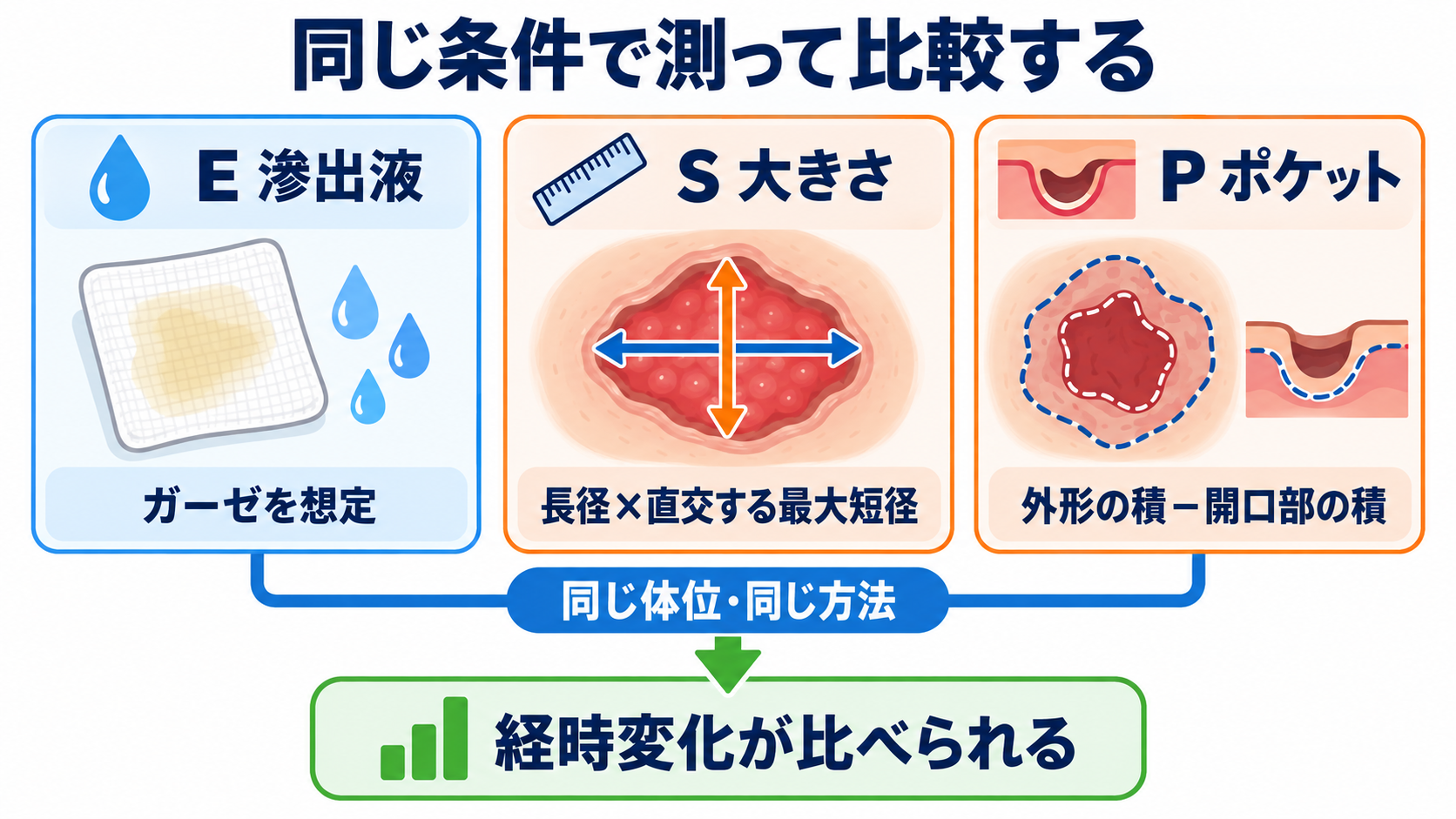 褥瘡の段階はどう伝える？DESIGN-R®2020で皮膚状況を観察・報告する方法：滲出液・大きさ・ポケットは同じ条件で測って初めて比較できるの図解