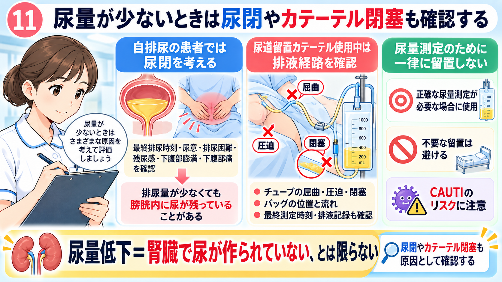 尿量の見かた｜なぜ確認する？正常の目安・尿量が減る原因・看護観察のポイント：尿量が少ないときは尿閉やカテーテル閉塞も確認するの図解
