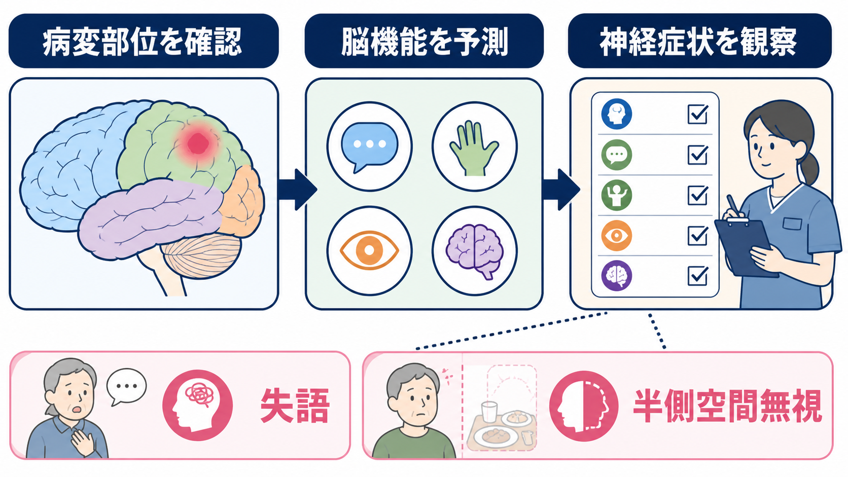 脳腫瘍とは？種類・症状・検査・治療と看護で押さえる観察ポイント：病変部位を知ると、観察すべき神経症状を予測しやすいの図解