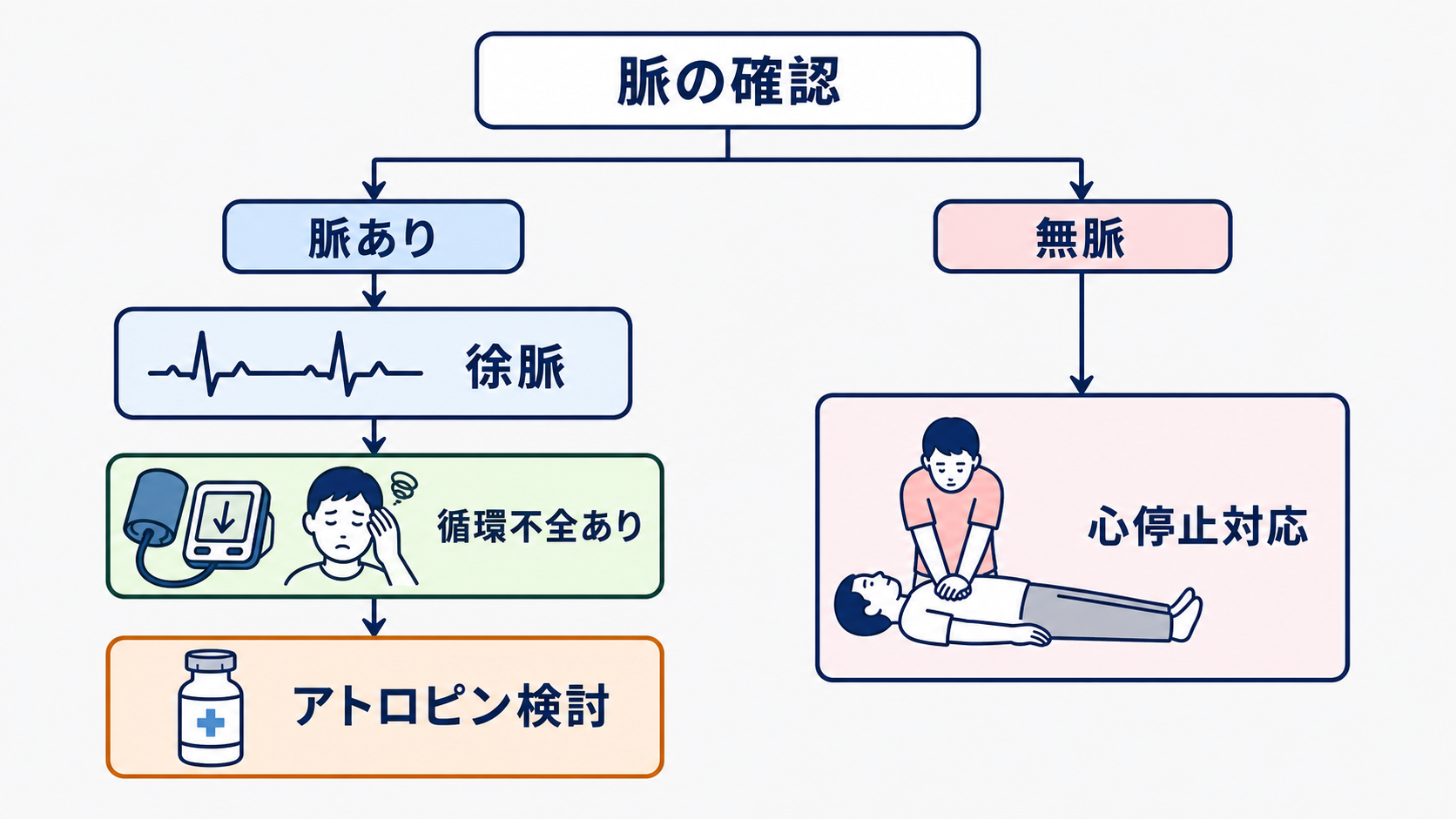 救急カート薬剤の使い分け｜心停止・徐脈・ショックで迷わない投与時確認：アトロピンは脈のある症候性徐脈で検討するの図解