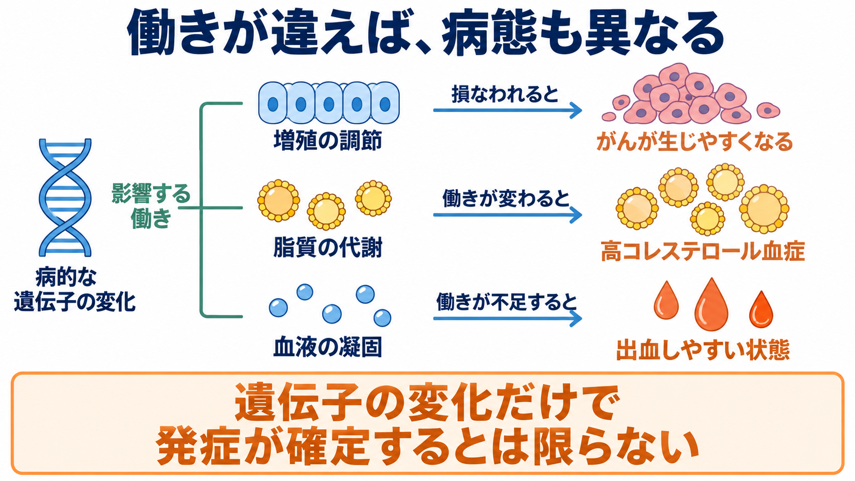 遺伝子の異常でなりやすい病態は？がん・遺伝性疾患の仕組みと看護での捉え方：代表的な病態はがんだが、影響を受ける働きによって病態は異なるの図解