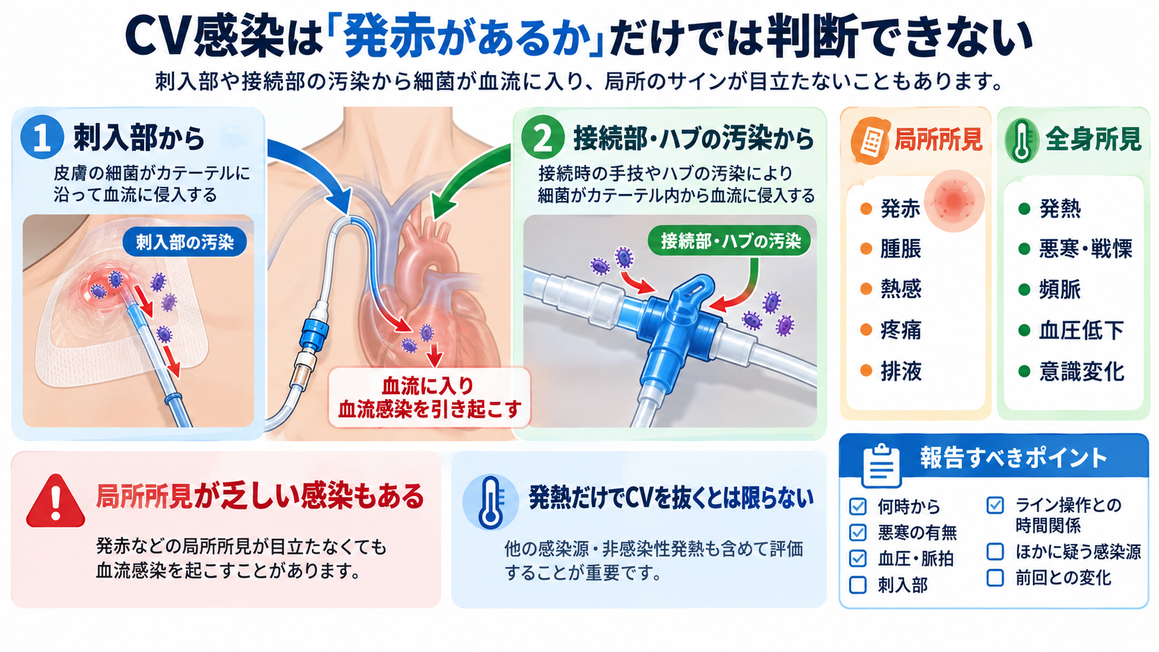 CVカテーテルとは？目的・種類から管理、観察項目、感染・閉塞・空気塞栓まで解説：CV感染は「発赤があるか」だけでは判断できないの図解