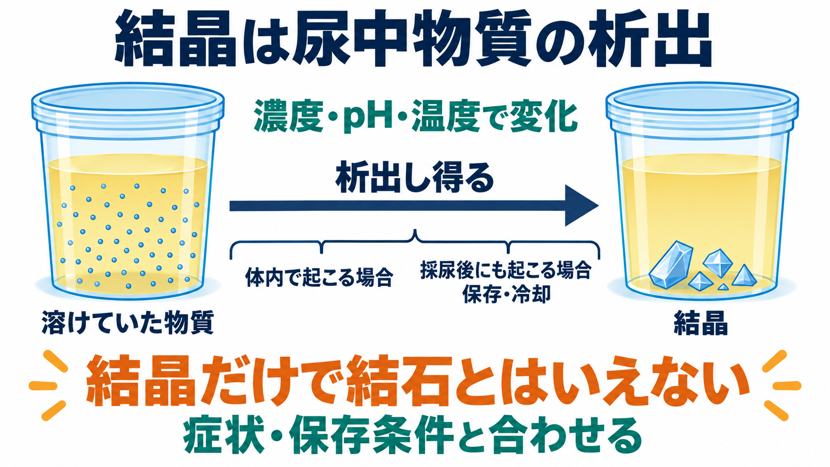 尿沈渣の主な成分一覧と、看護に役立つ所見の読み方：結晶は尿中物質の析出であり、見つかっただけで結石とはいえないの図解