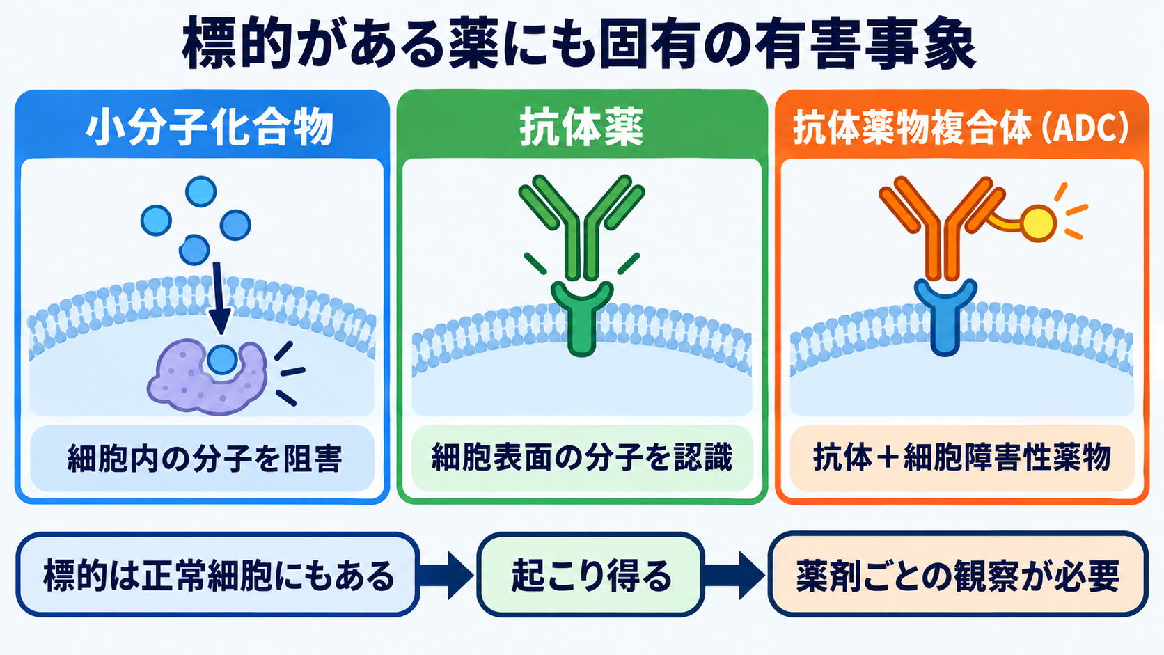 抗がん剤で使われる薬剤の種類と作用―副作用を予測する看護観察の考え方：分子標的薬と抗体薬物複合体は、標的があるからこその有害事象を持つの図解