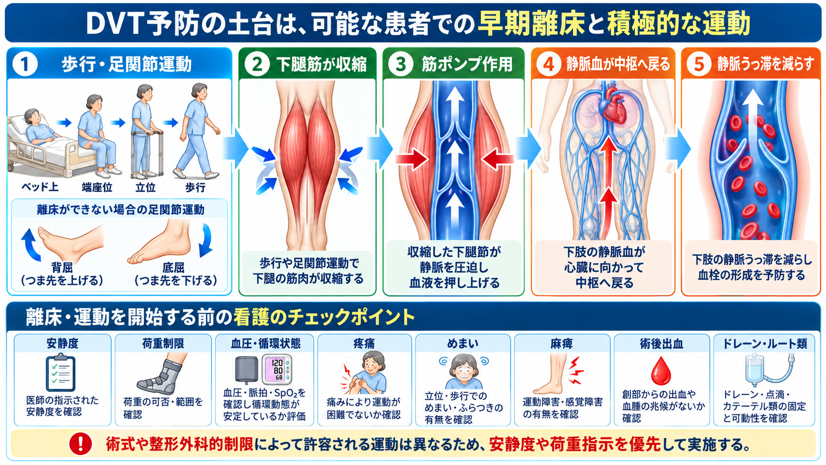 深部静脈血栓症を起こしやすい手術とは？術後DVTのリスクと予防・看護観察を解説：DVT予防の土台は、可能な患者での早期離床と積極的な運動の図解