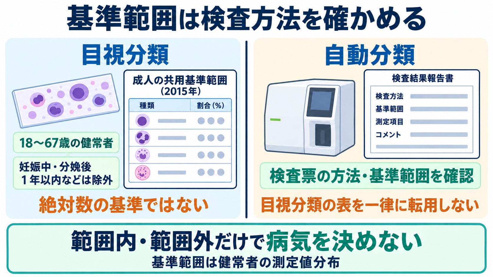 血液像の一覧と読み方：白血球の種類・基準範囲・異常所見を看護につなげる：成人の基準範囲は、目視分類か自動分類かを確かめるの図解