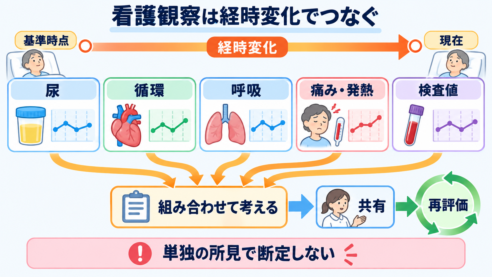 腎臓の解剖を血流と尿の通り道から理解する―ネフロンの構造と看護観察の意味：看護観察は尿・循環・呼吸・痛み・検査値を経時的につなぐの図解