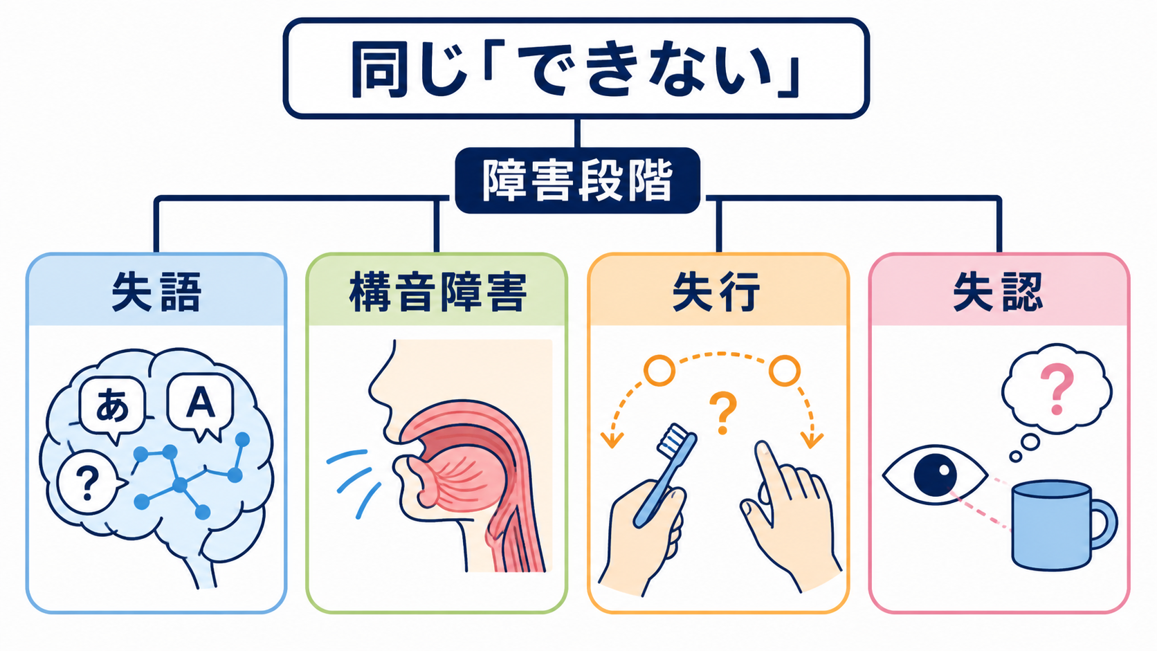 脳の部位ごとの機能を整理｜障害部位から症状と観察項目を考える：失語・構音障害・失行・失認は障害される段階が異なるの図解