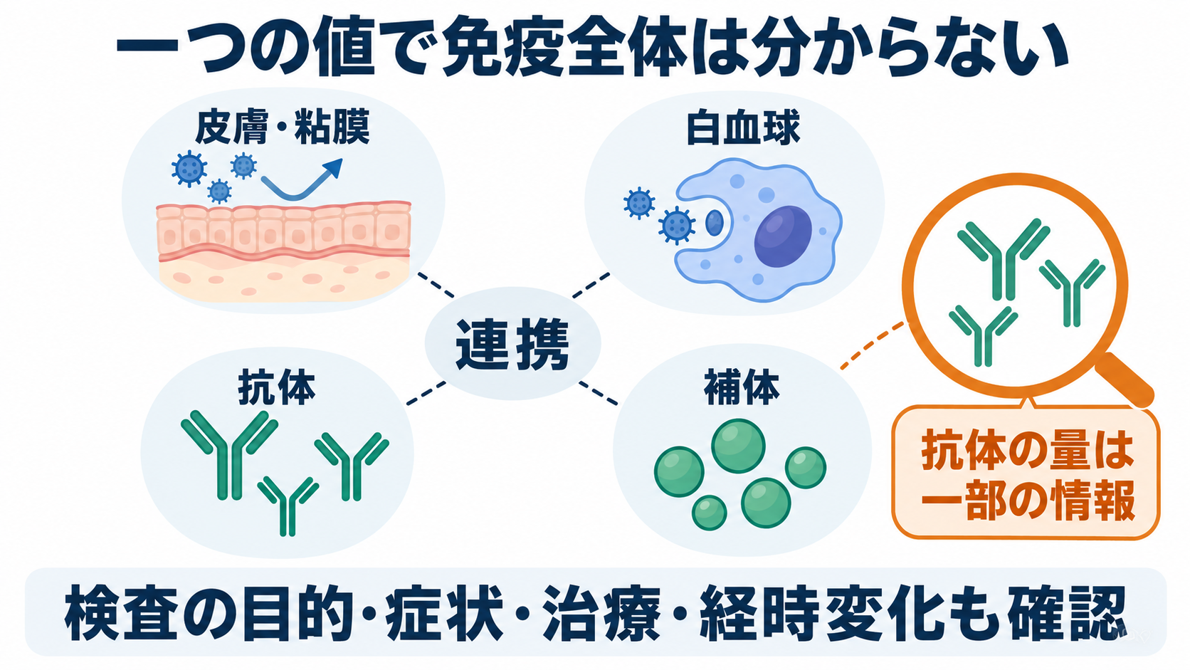 免疫の種類と主な検査の一覧：抗体・補体の働きと看護での読み方：免疫全体の状態は、一つの検査値では分からないの図解