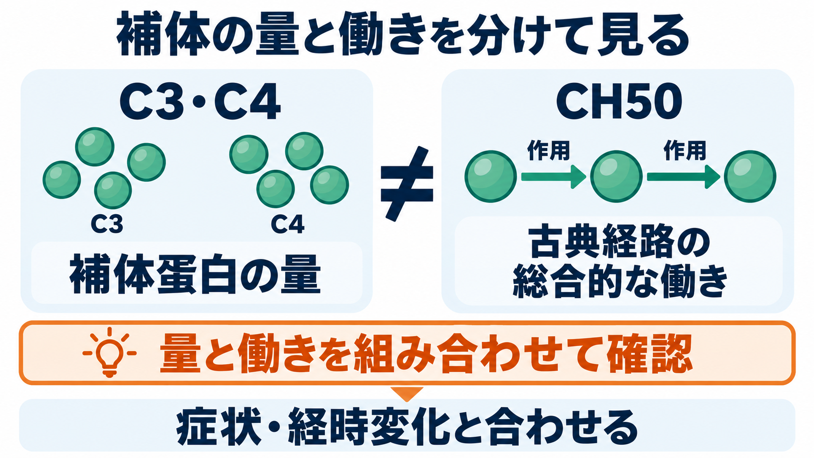 免疫の種類と主な検査の一覧：抗体・補体の働きと看護での読み方：C3・C4は補体の量、CH50は古典経路の総合的な働きを見るの図解