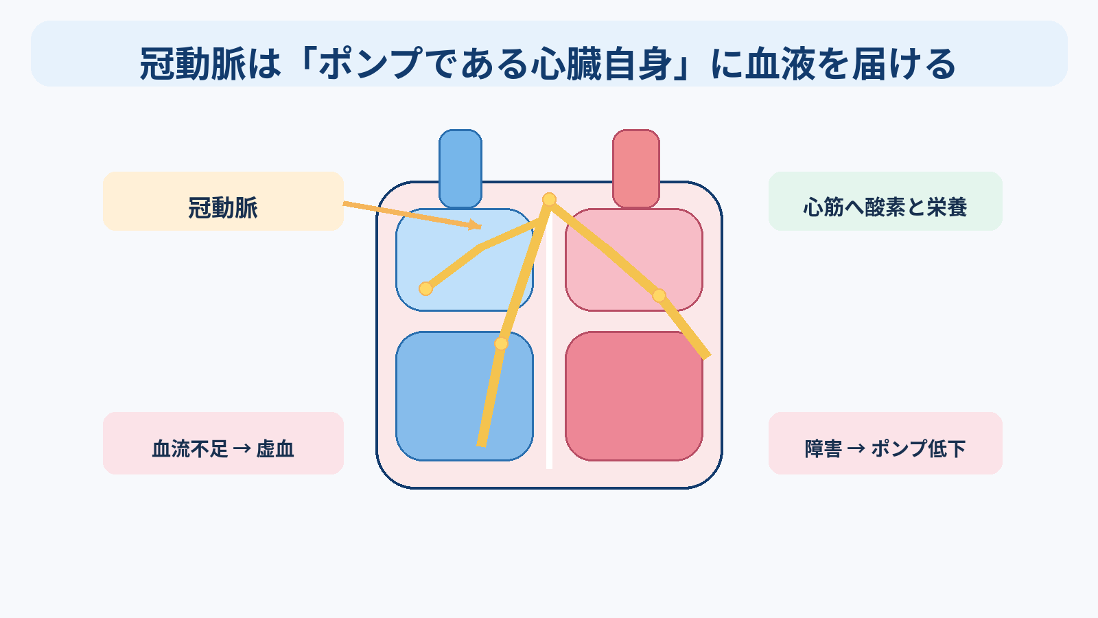 心臓の構造と機能を基礎から理解する｜4つの部屋・弁・血流・刺激伝導・心拍出量と看護観察：冠動脈は「ポンプである心臓自身」に血液を届けるの図解