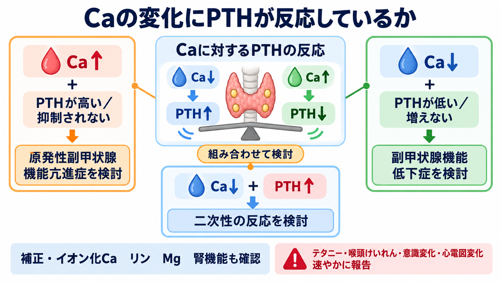 内分泌で覚えておきたい検査｜ホルモンの組み合わせと看護観察が分かる：カルシウム異常では、PTHが「適切に反応しているか」を考えるの図解