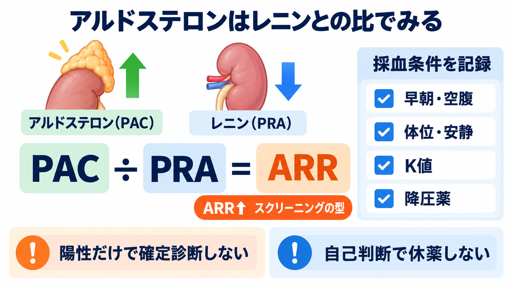 内分泌で覚えておきたい検査｜ホルモンの組み合わせと看護観察が分かる：アルドステロンとレニンは「比」と採血条件をセットで確認するの図解