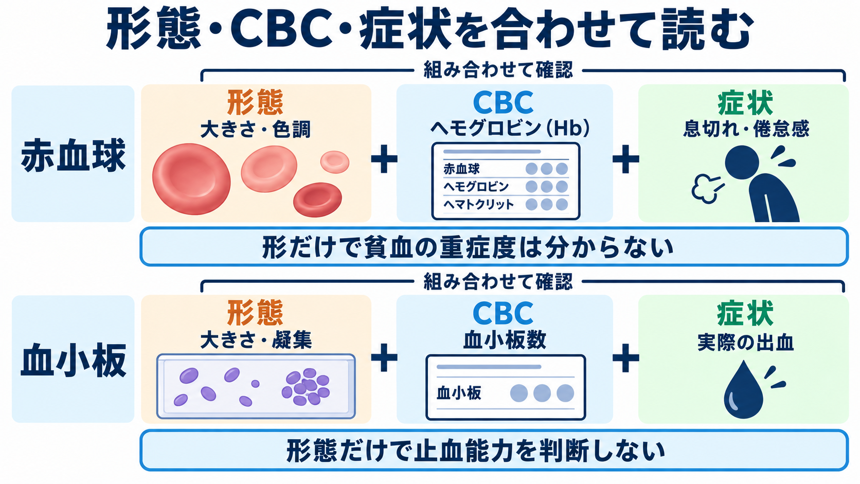 血液像の一覧と読み方：白血球の種類・基準範囲・異常所見を看護につなげる：赤血球・血小板の形態所見は、CBCと合わせて読むの図解