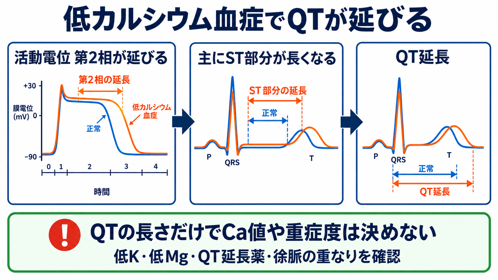 QT延長・QT短縮をどう読む？カルシウム異常、先天性・薬剤性LQTSと看護観察：低カルシウム血症では活動電位第2相が延び、主にST部分が長くなるの図解