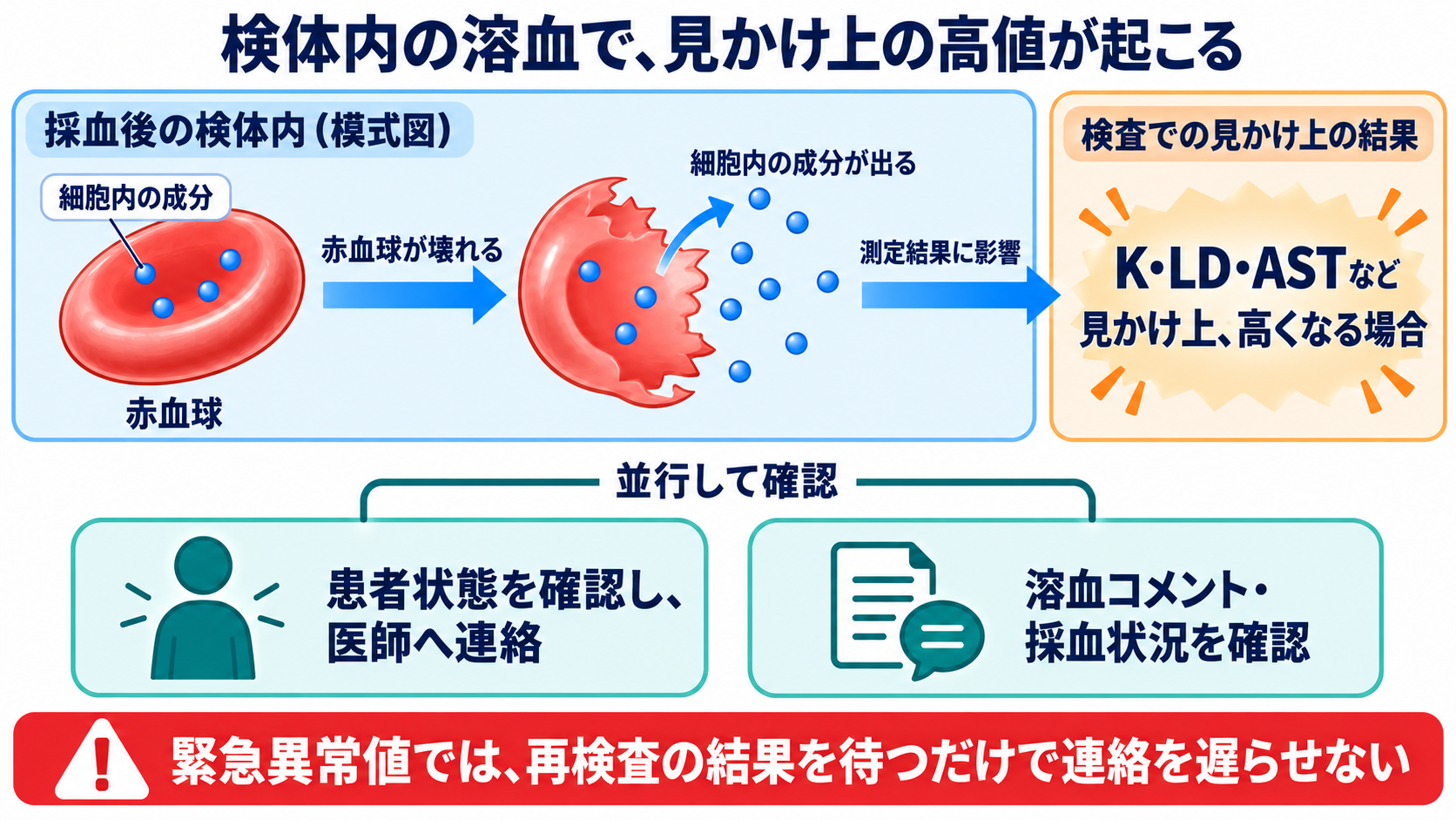 主な生化学検査の一覧から、数値の意味と看護での見方を学ぶ：採血条件や検体の状態で、患者の病態以外の変化も起こるの図解