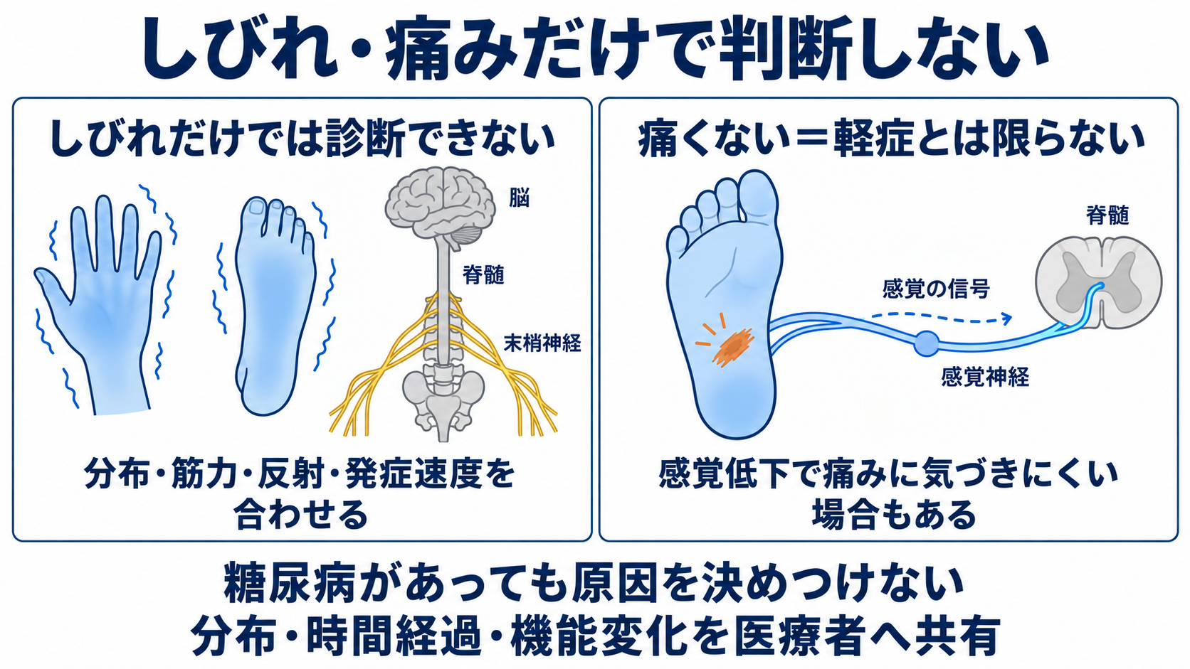 ニューロパチーとは？原因・症状・検査から看護観察と緊急性まで分かりやすく解説：「しびれ＝ニューロパチー」「痛くない＝軽い」という理解は正しくないの図解