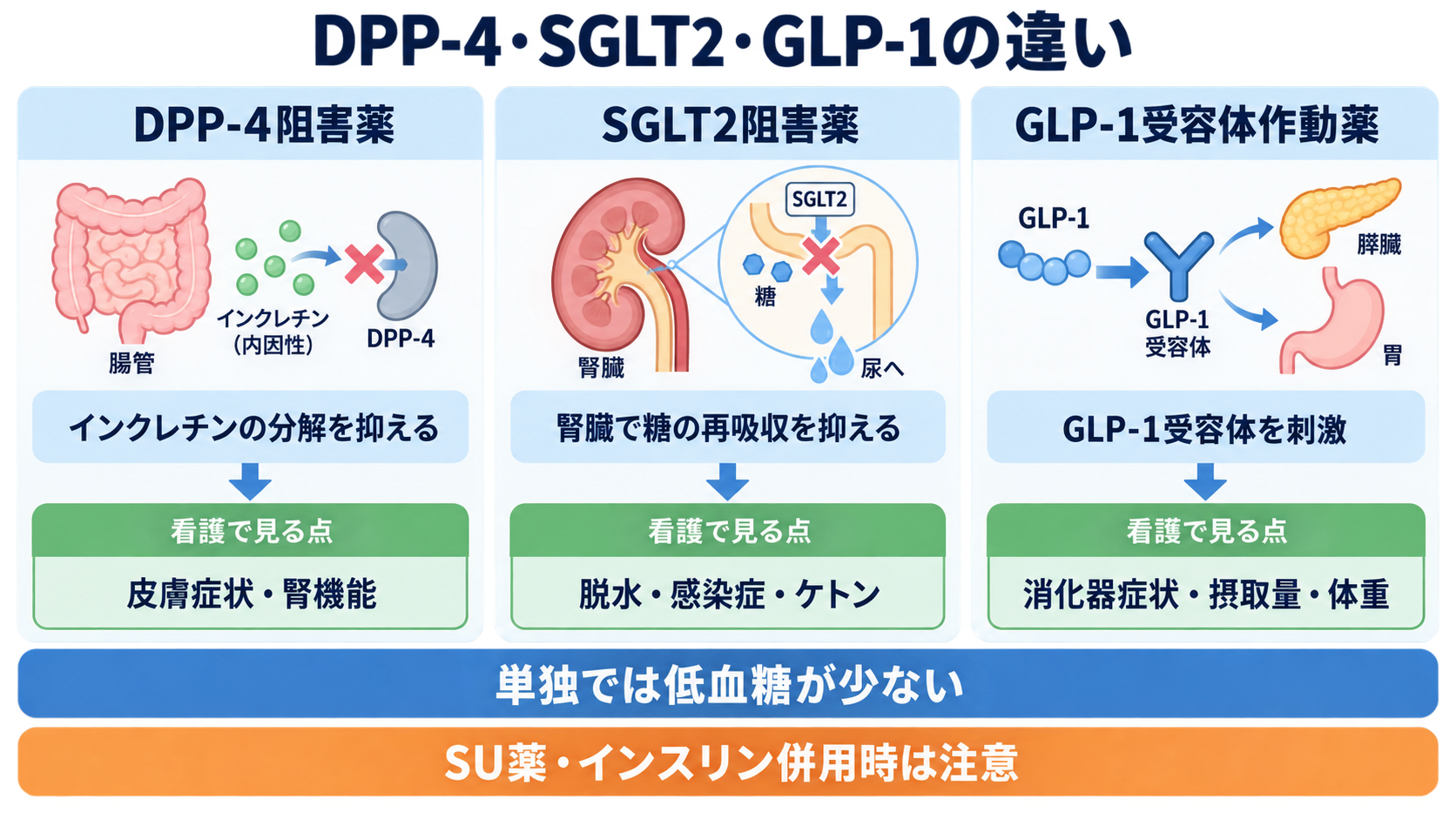 糖尿病薬の種類まとめ｜DPP-4阻害薬・SGLT2阻害薬・GLP-1受容体作動薬の違いと看護の確認ポイント：DPP-4・SGLT2・GLP-1の違いを比較するの図解