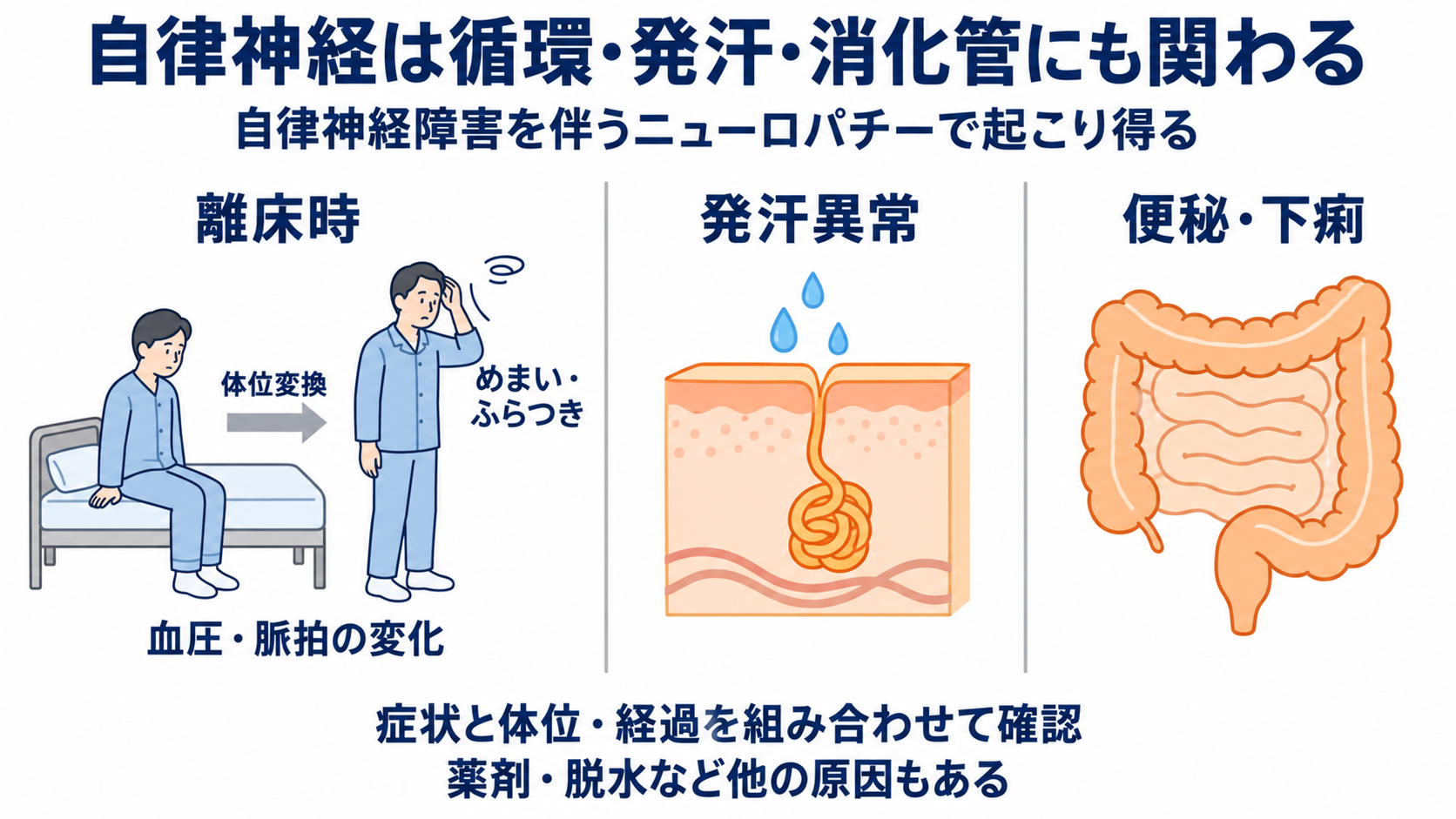 ニューロパチーとは？原因・症状・検査から看護観察と緊急性まで分かりやすく解説：自律神経障害では血圧・発汗・消化管症状まで確認するの図解