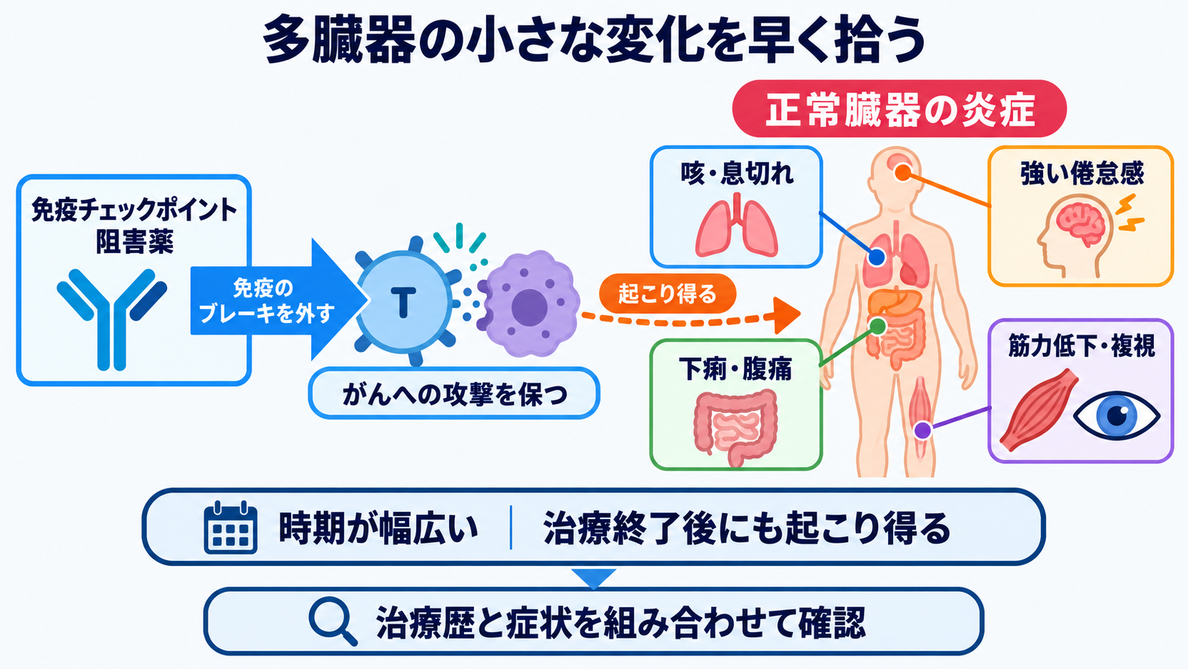 抗がん剤で使われる薬剤の種類と作用―副作用を予測する看護観察の考え方：免疫チェックポイント阻害薬は、多臓器の小さな変化を早く拾うの図解