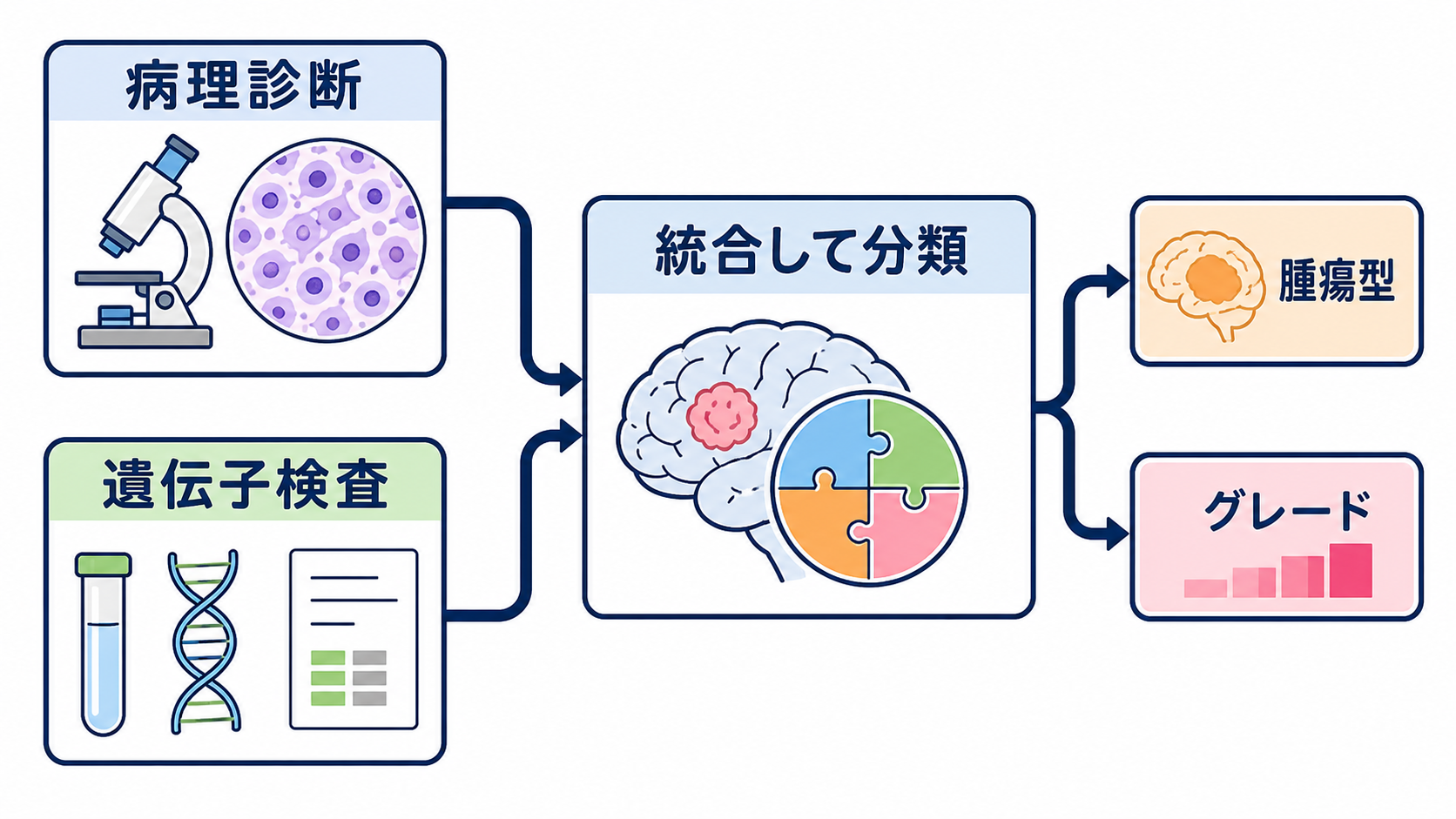脳腫瘍とは？種類・症状・検査・治療と看護で押さえる観察ポイント：脳腫瘍は「病理像だけ」でなく遺伝子情報も含めて分類する時代になっているの図解